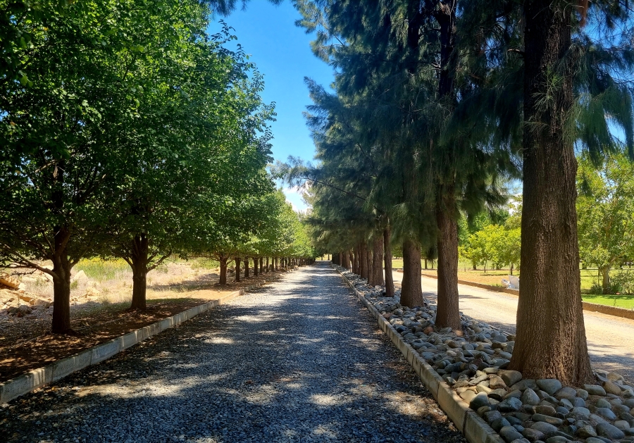 0 Bedroom Property for Sale in Magersfontein Memorial Golf Estate Northern Cape